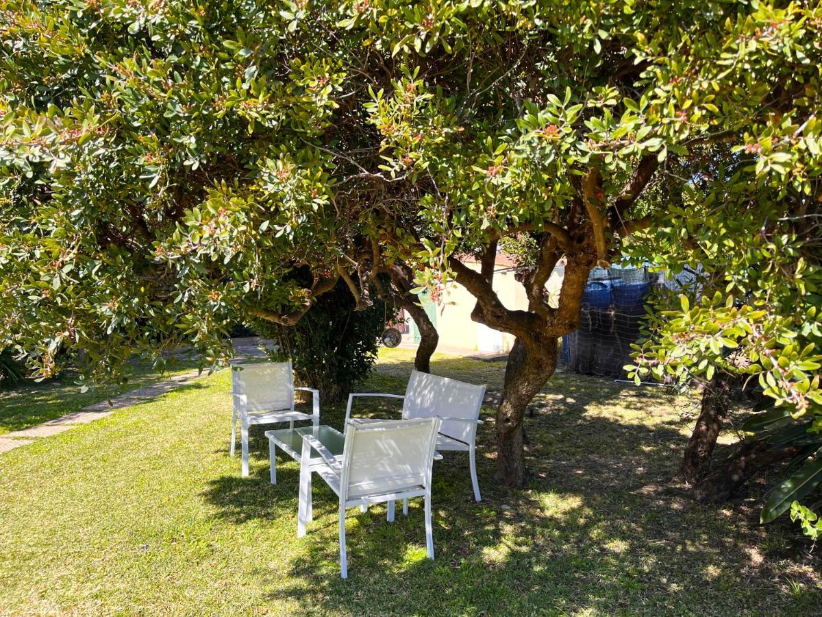 Casa Il Lentischio - Holiday home *